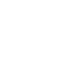Logo-BSL-Bug-Estd-White 2